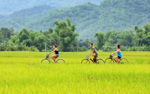 Le Vietnam du Nord au Sud en 12 jours