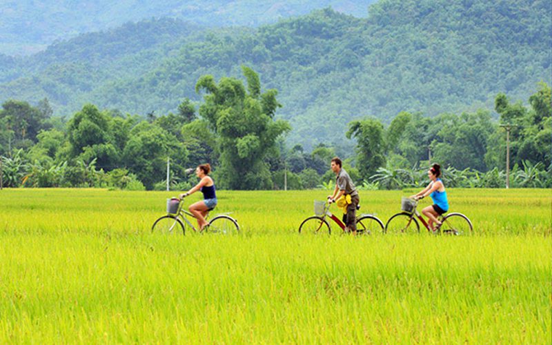 Le Vietnam du Nord au Sud en 12 jours