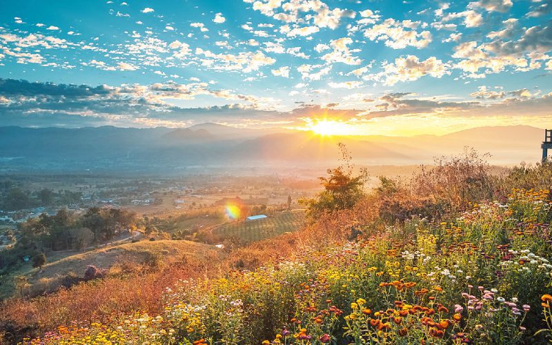 Les Joyaux cachés de la Thaïlande en 14 jours