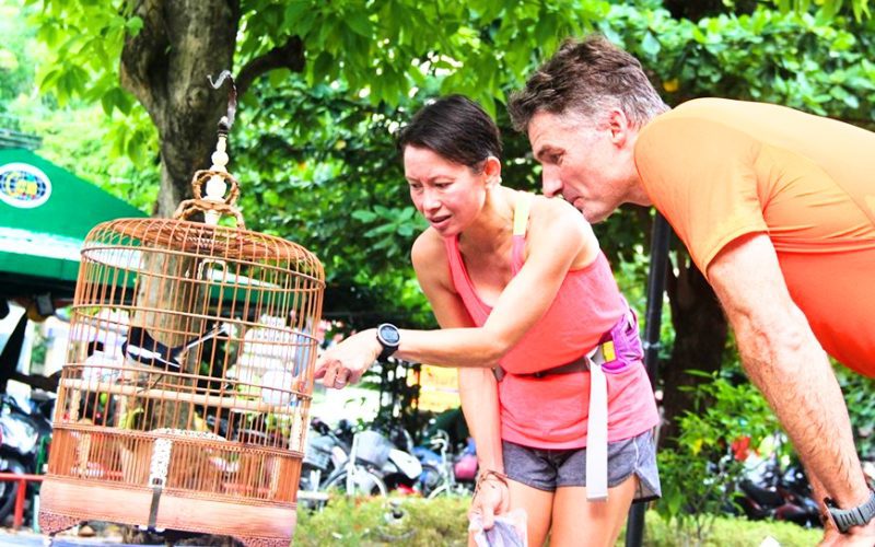 Le café aux oiseaux Tao Dan devient progressivement un élément culturel de Ho Chi Minh-Ville