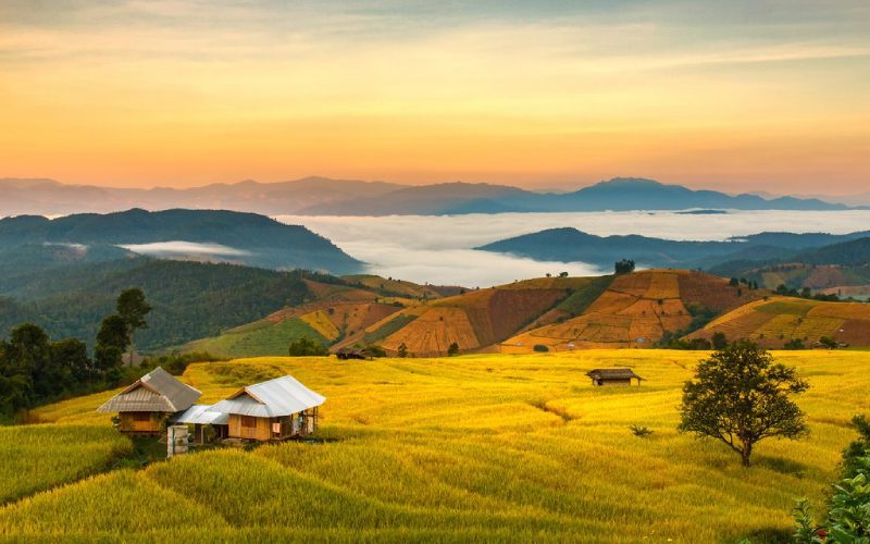Les collines à Chiang Mai