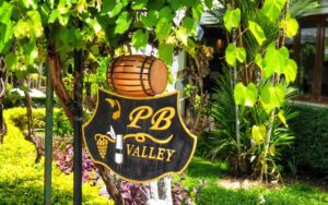 Le-vignoble-PB-Valley