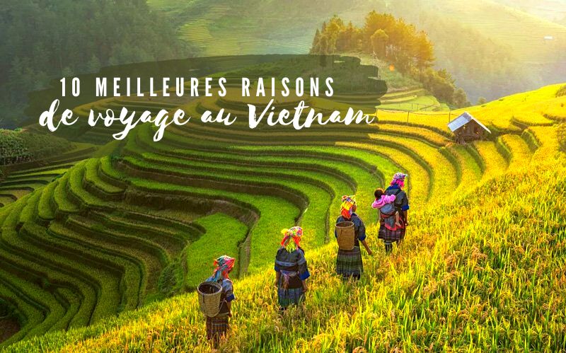 Top 10 des meilleures raisons de voyage au Vietnam