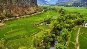 Mai Chau