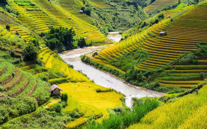 Mu Cang Chai Nord Vietnam en 15 jours