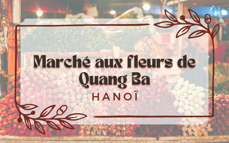 Marché aux fleurs de Quang Ba à Hanoï : Immersion dans la vie idyllique des habitants de la capitale