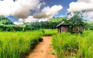 Mondulkiri Cambodge