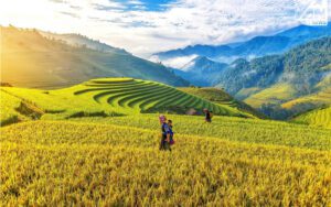 Mu Cang Chai