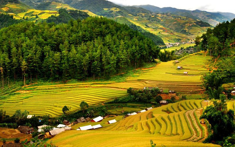 Mai Chau