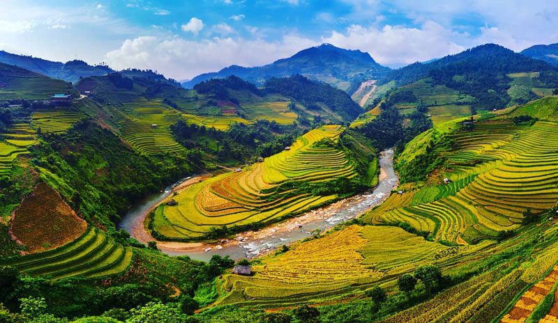 Mu Cang Chai