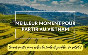 Meilleur moment pour partir au Vietnam avec rizières en terrasses et paysage de montagne