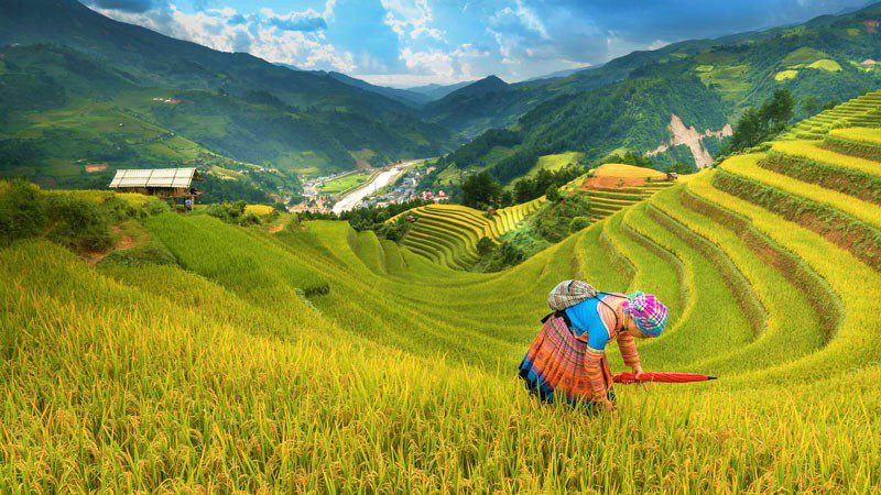 Meilleur moment pour visiter Sapa