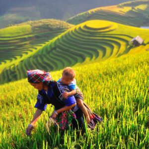 Magnifiques paysages du Vietnam en 25 jours