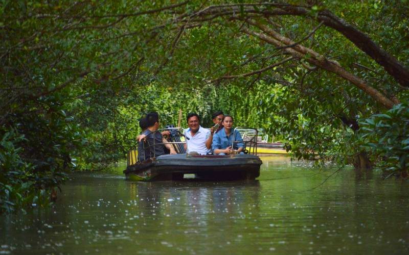 Observation des oiseaux en bateau électrique Forêt de mangroves de Can Gio