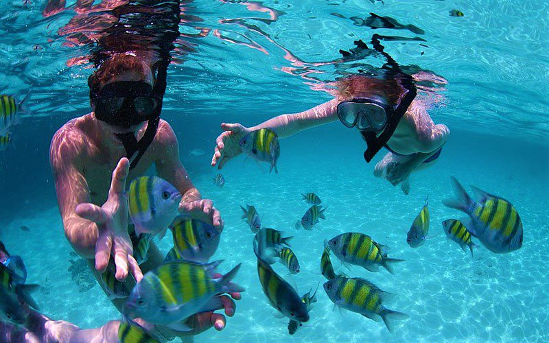 Plongée en apnée avec la vie marine colorée