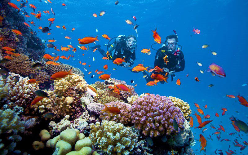 Plongée sous-marine à Phu Quoc