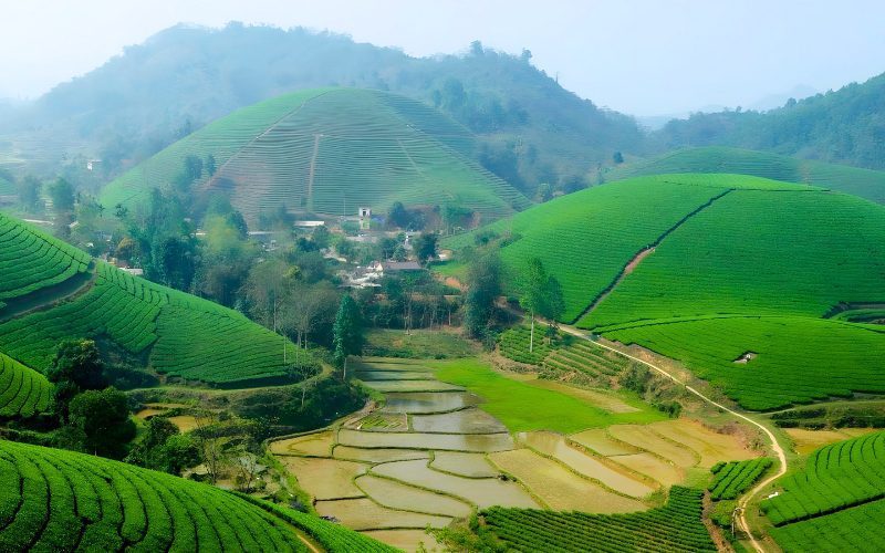 Parc écologique de Suoi Giang