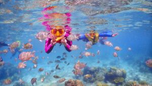 Plongée en apnée et exploration des îles de Nha Trang en 1 Jour