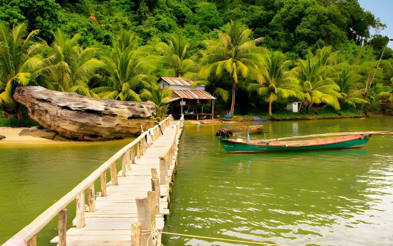 Ponton en bois menant à une cabane rustique au bord de l'eau, entouré de palmiers luxuriants