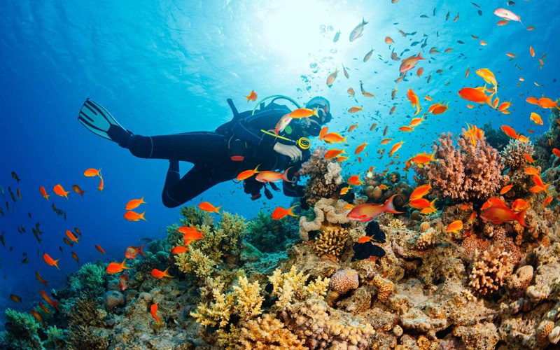 Plonger sous-marine