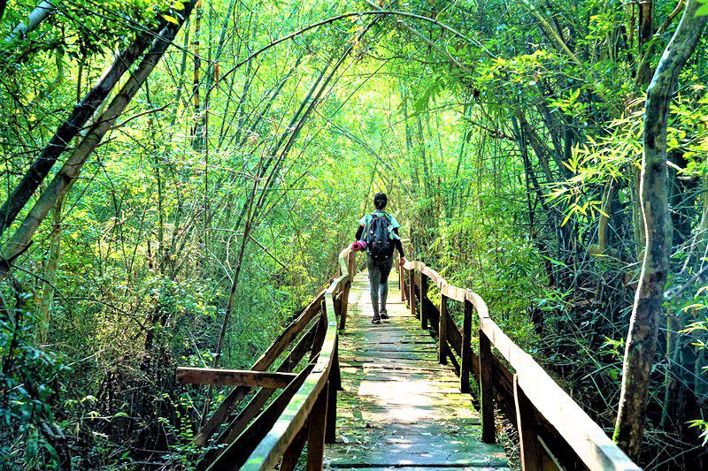 Parc national de Cat Tien