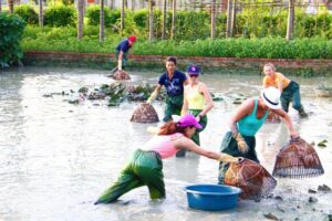 Pêche avec le panier traditionnel