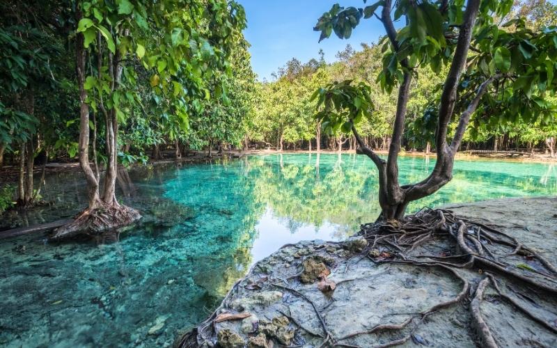 Piscine d'émeraude (Emerald Pool)