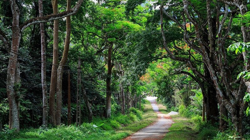 Parc national de Cuc Phuong