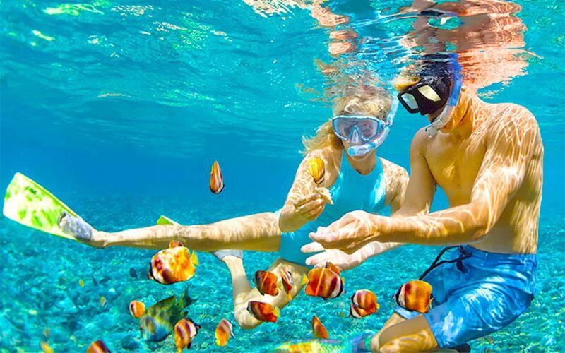 Phu Quoc en une journée en téléphérique & Plongée avec tuba