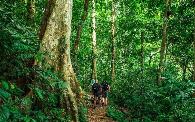 Parc National Cuc Phuong