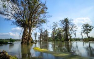 Périple captivant des joyaux du Cambodge en 9 jours
