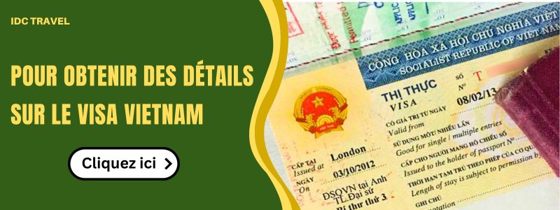 Pour obtenir des détails sur le visa Vietnam.jpg