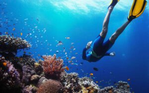 Plongée sous-marine à Mergui