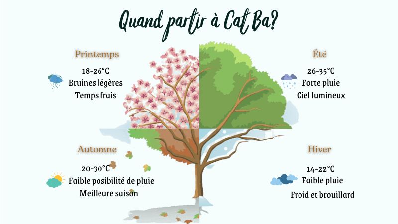 Quand partir à Cat Ba ?
