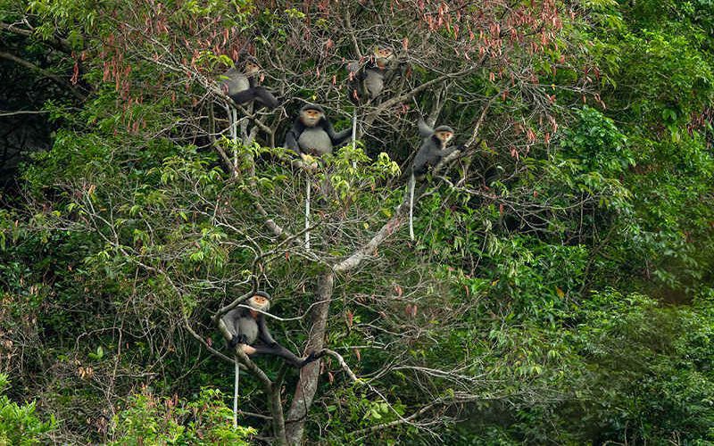 Réserve naturelle de Kon Chu Rang