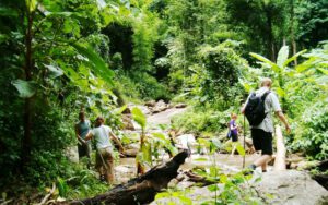 Randonnée à travers forêts
