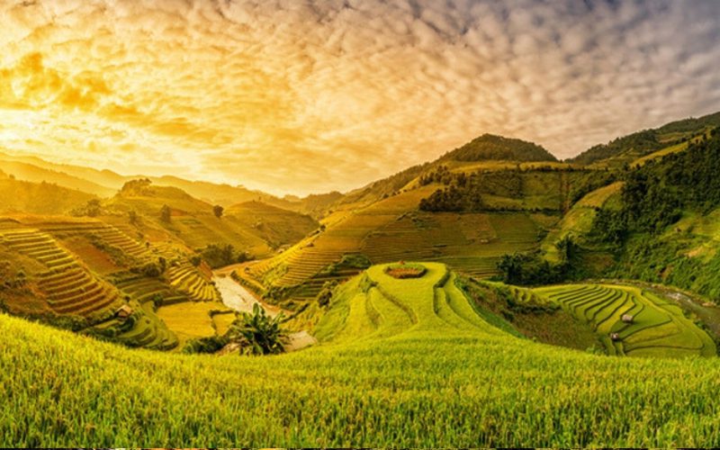 Randonnée au Nord du Vietnam en 8 Jours