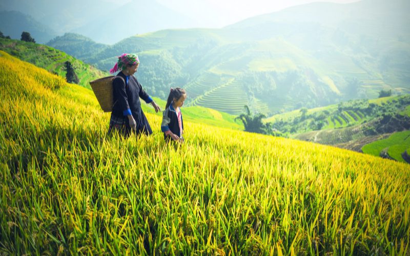 Randonnée au Nord-Ouest du Vietnam en 14 jours