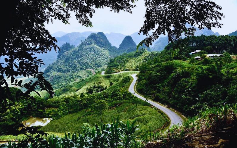 Route sinueuse traversant les collines verdoyantes et les champs en terrasses de la réserve naturelle de Nà Hẩu