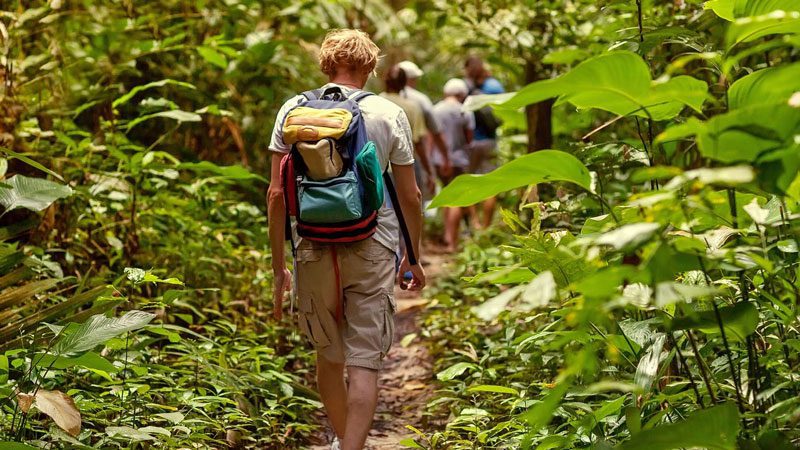 Top 12 sentiers de randonnée à découvrir absolument en Thaïlande