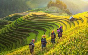 Séjour au Nord du Vietnam en 7 Jours