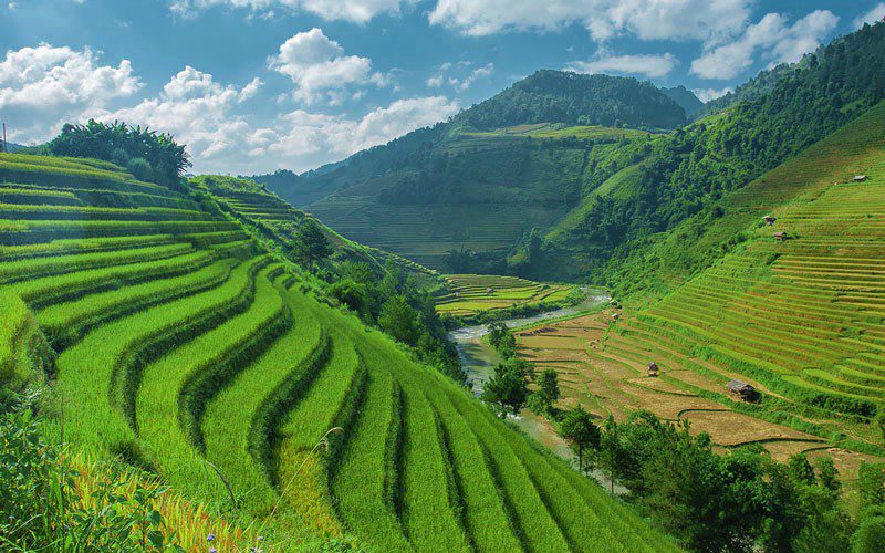 Sapa, pendant la saison du riz vert, vaut également le détour.