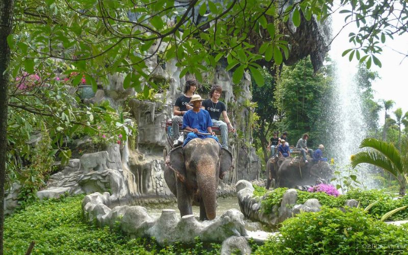 Promenade à dos d’éléphant au Samphran Elephant Ground & Zoo en Thaïlande, à travers un décor tropical verdoyant avec une cascade en arrière-plan