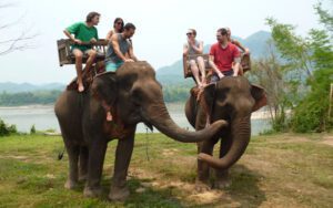 Sur le dos de l'éléphant