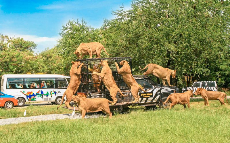Safari-World-a-Bangkok
