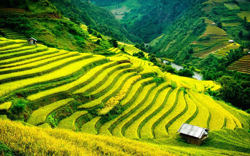 Sa Pa