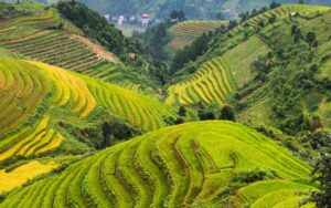 Vietnam et Cambodge en 18 jours