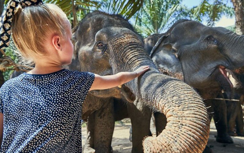 sanctuaire d'éléphants à Mae Sa