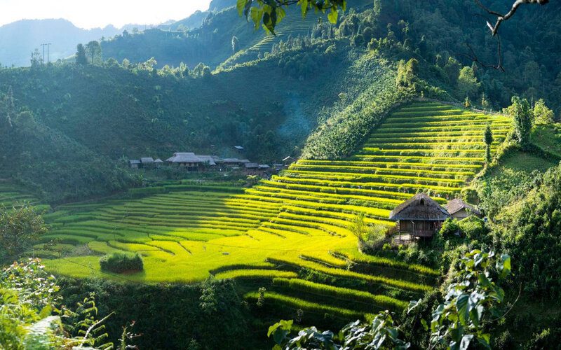 Sapa