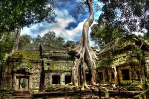 Ta Prohm - Siem Reap
